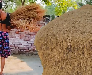 Farmers Super-hot Wifey Outdoor Doggy-style Xxx Indian Romp Clear Hindi Audio