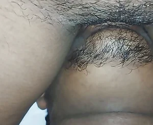 Indian Honeypot Tonguing Closeup